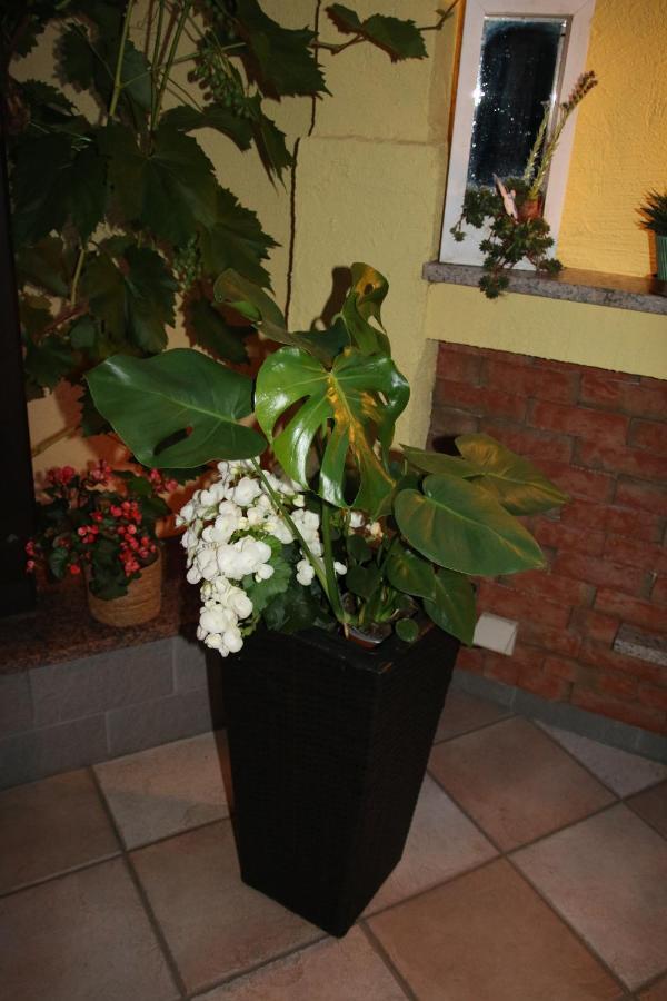 Appartement Sto Hannover Kültér fotó